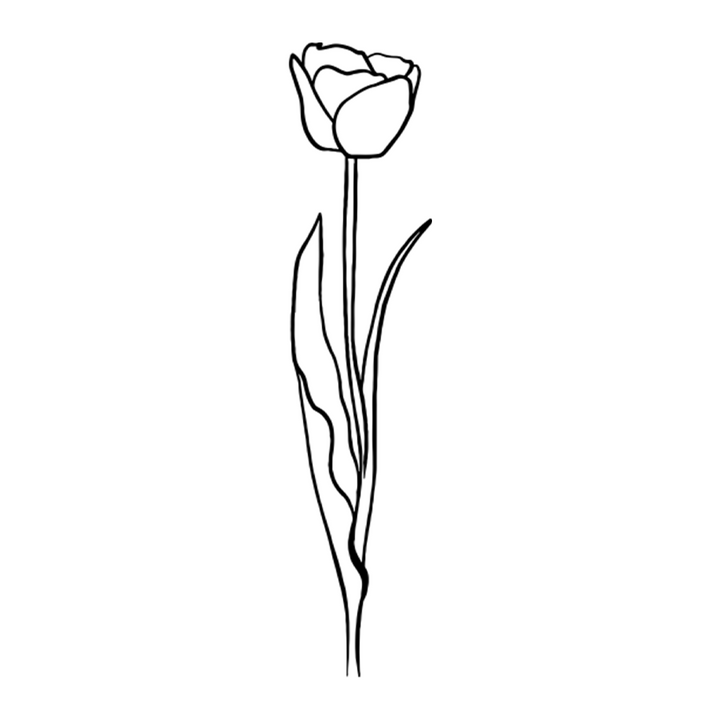 Verre gravé - La tulipe & sa tige