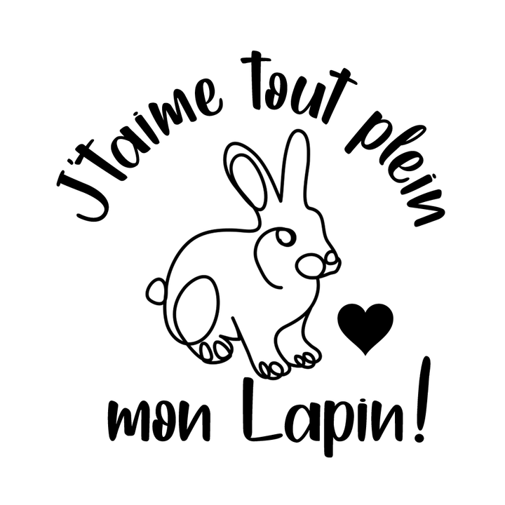 Verre gravé  - J'taime tout plein mon lapin