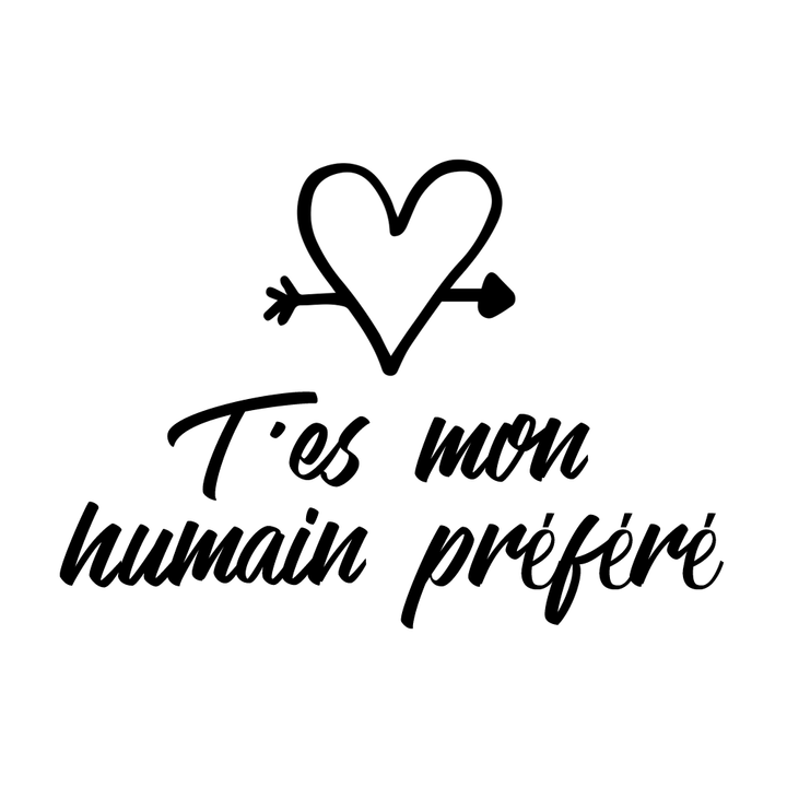 Verre gravé - T'es mon humain préféré