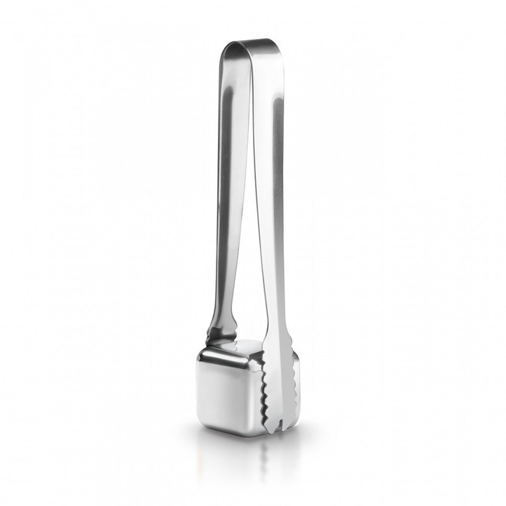 Cube de Glace en Inox (Ensemble de 2)