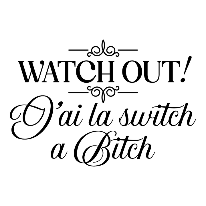 Verre gravé - J'ai la switch a Bitch