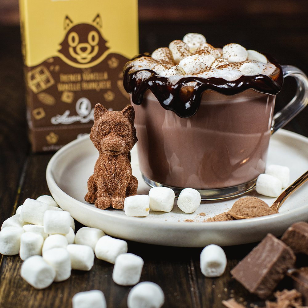 Bombe Chocolat chaud | Vanille Française - Poseidn